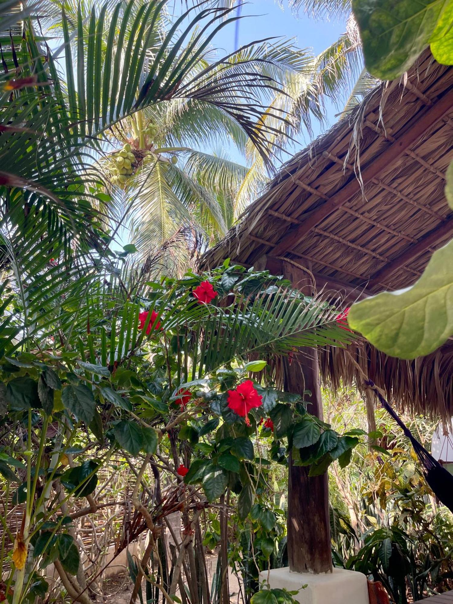 Hotel Descalzo Spa Zipolite Exterior foto